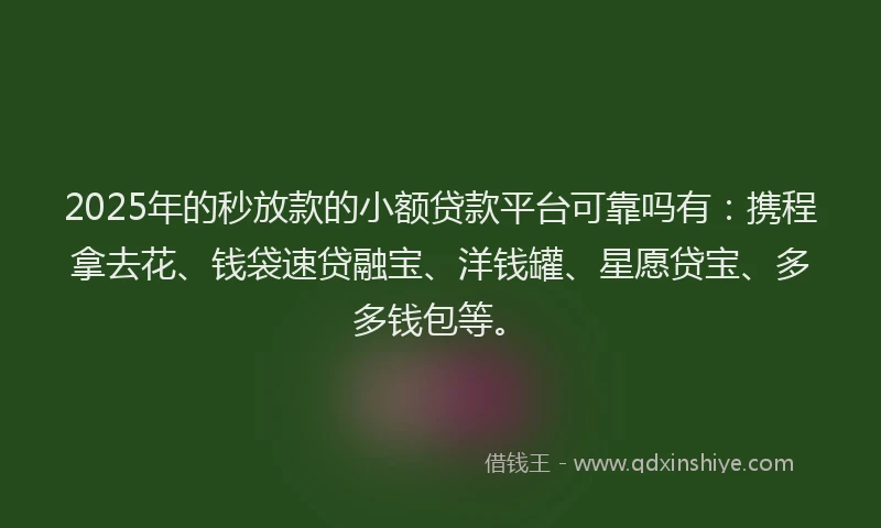 2025年的秒放款的小额贷款平台可靠吗有：携程拿去花、钱袋速贷融宝、洋钱罐、星愿贷宝、多多钱包等。