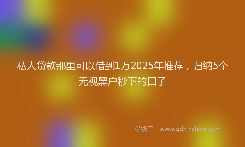 私人贷款那里可以借到1万2025年推荐，归纳5个无视黑户秒下的口子