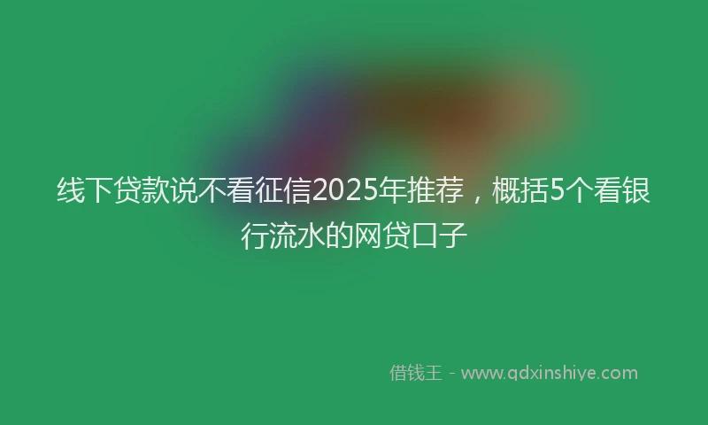 线下贷款说不看征信2025年推荐，概括5个看银行流水的网贷口子