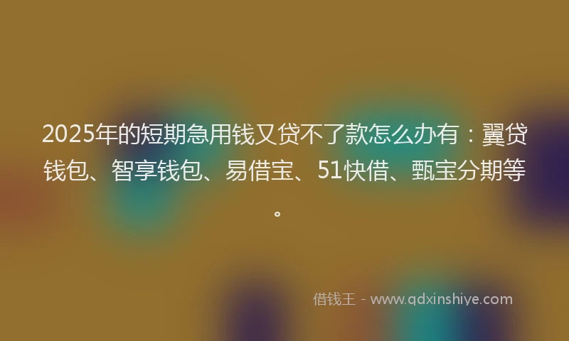 2025年的短期急用钱又贷不了款怎么办有：翼贷钱包、智享钱包、易借宝、51快借、甄宝分期等。
