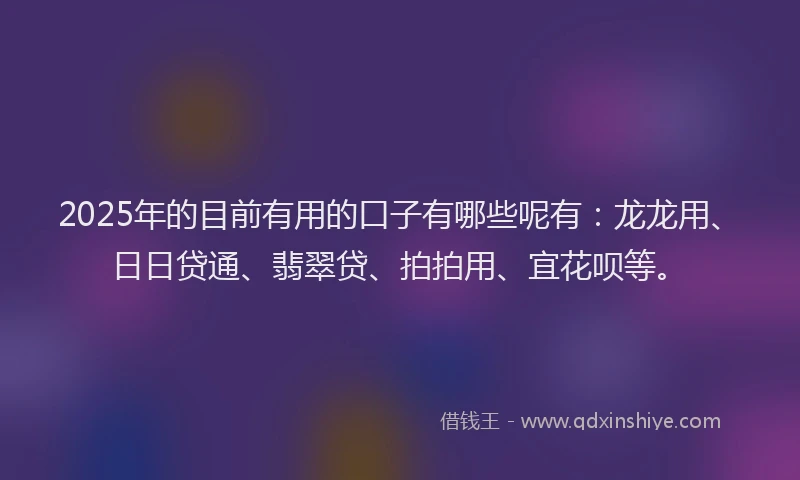 2025年的目前有用的口子有哪些呢有：龙龙用、日日贷通、翡翠贷、拍拍用、宜花呗等。