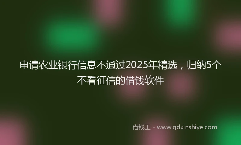 申请农业银行信息不通过2025年精选，归纳5个不看征信的借钱软件