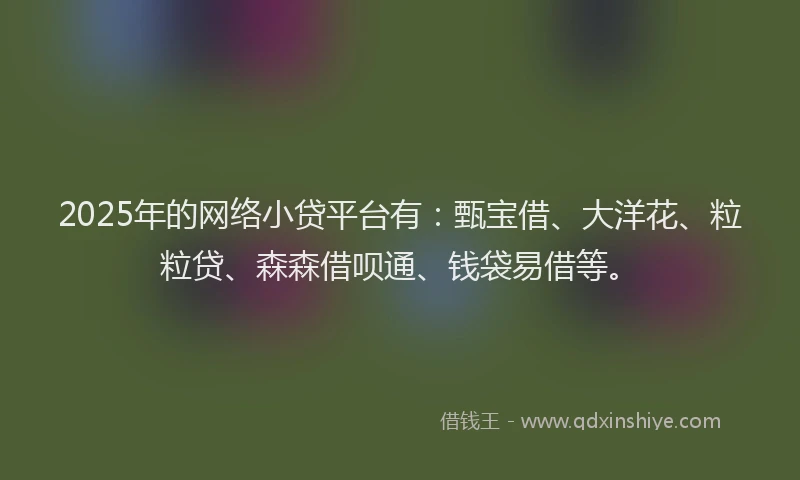 2025年的网络小贷平台有：甄宝借、大洋花、粒粒贷、森森借呗通、钱袋易借等。