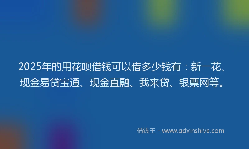 2025年的用花呗借钱可以借多少钱有：新一花、现金易贷宝通、现金直融、我来贷、银票网等。