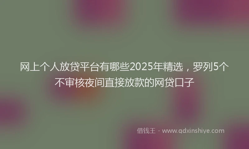 网上个人放贷平台有哪些2025年精选，罗列5个不审核夜间直接放款的网贷口子