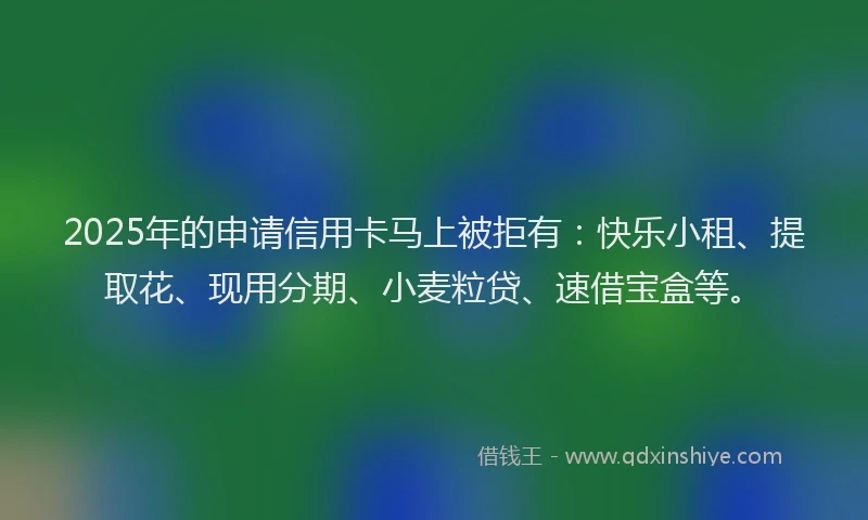 2025年的申请信用卡马上被拒有：快乐小租、提取花、现用分期、小麦粒贷、速借宝盒等。