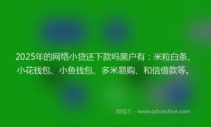 2025年的网络小贷还下款吗黑户有：米粒白条、小花钱包、小鱼钱包、多米易购、和信借款等。