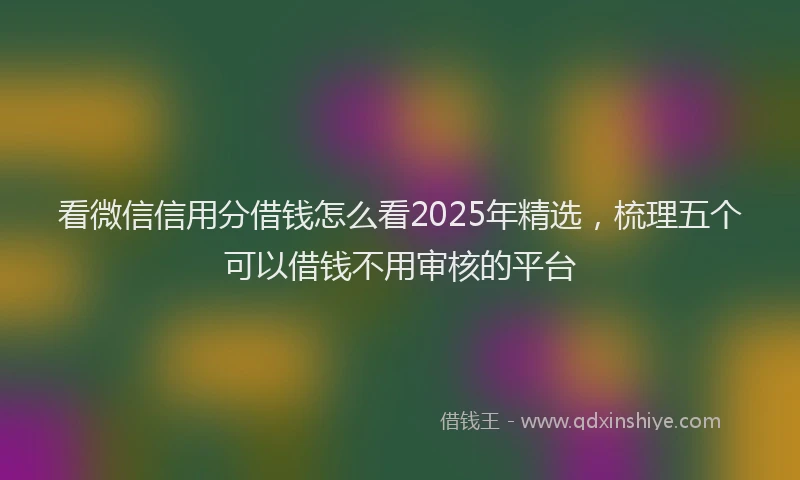 看微信信用分借钱怎么看2025年精选，梳理五个可以借钱不用审核的平台