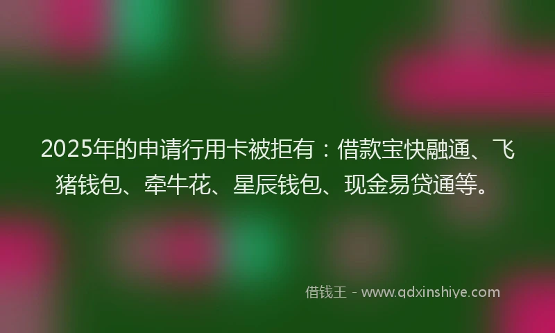 2025年的申请行用卡被拒有：借款宝快融通、飞猪钱包、牵牛花、星辰钱包、现金易贷通等。