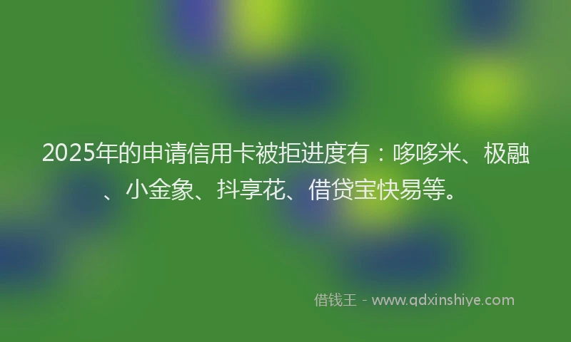 2025年的申请信用卡被拒进度有：哆哆米、极融、小金象、抖享花、借贷宝快易等。