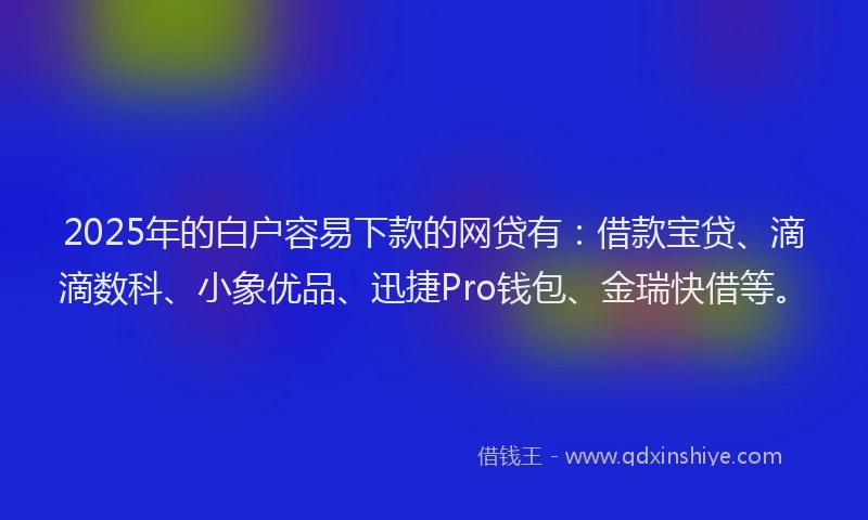 2025年的白户容易下款的网贷有：借款宝贷、滴滴数科、小象优品、迅捷Pro钱包、金瑞快借等。