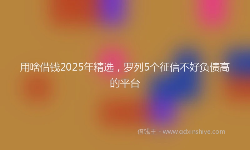用啥借钱2025年精选，罗列5个征信不好负债高的平台