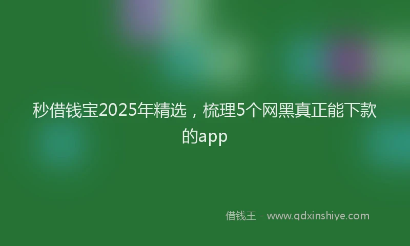 秒借钱宝2025年精选，梳理5个网黑真正能下款的app