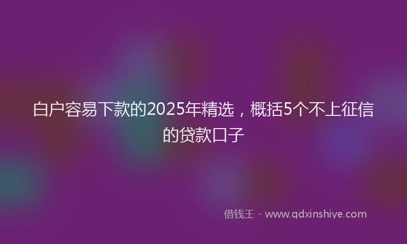 白户容易下款的2025年精选，概括5个不上征信的贷款口子