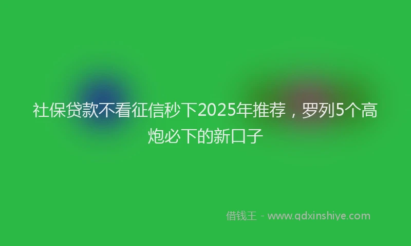 社保贷款不看征信秒下2025年推荐，罗列5个高炮必下的新口子