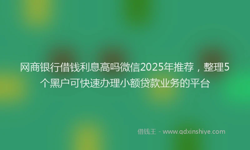 网商银行借钱利息高吗微信2025年推荐，整理5个黑户可快速办理小额贷款业务的平台