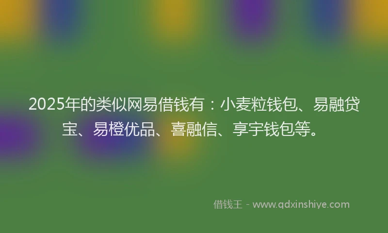 2025年的类似网易借钱有：小麦粒钱包、易融贷宝、易橙优品、喜融信、享宇钱包等。
