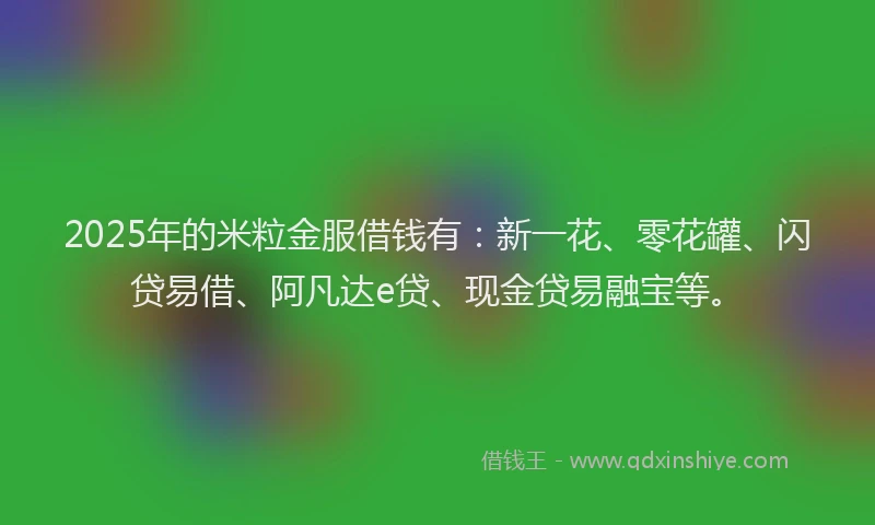 2025年的米粒金服借钱有：新一花、零花罐、闪贷易借、阿凡达e贷、现金贷易融宝等。