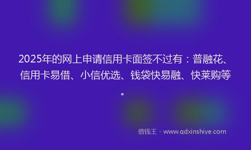 2025年的网上申请信用卡面签不过有：普融花、信用卡易借、小信优选、钱袋快易融、快莱购等。