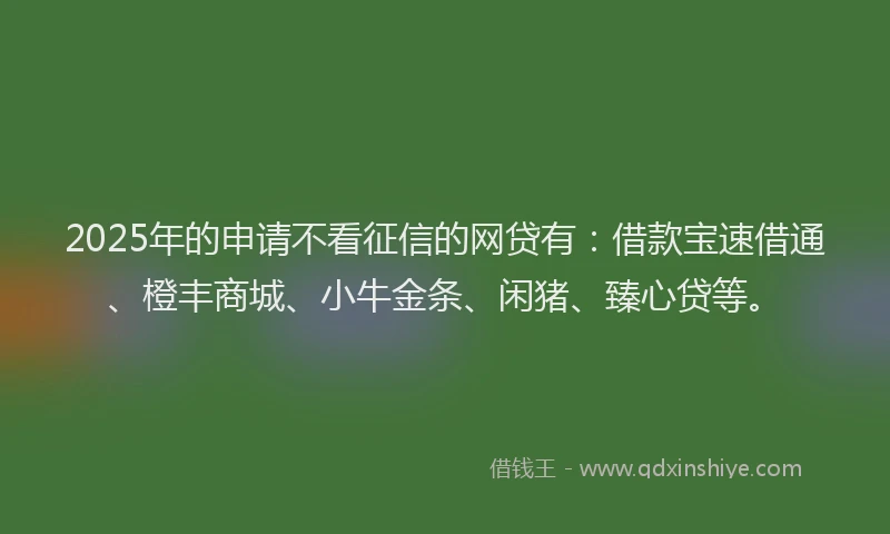 2025年的申请不看征信的网贷有：借款宝速借通、橙丰商城、小牛金条、闲猪、臻心贷等。