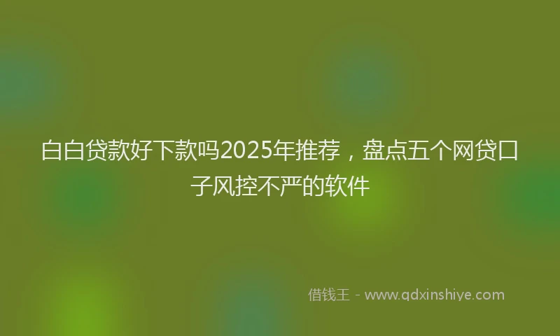 白白贷款好下款吗2025年推荐，盘点五个网贷口子风控不严的软件