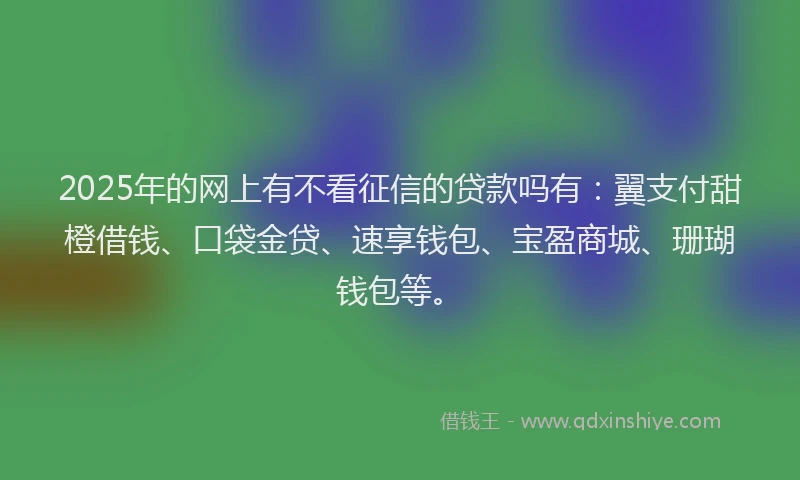 2025年的网上有不看征信的贷款吗有：翼支付甜橙借钱、口袋金贷、速享钱包、宝盈商城、珊瑚钱包等。