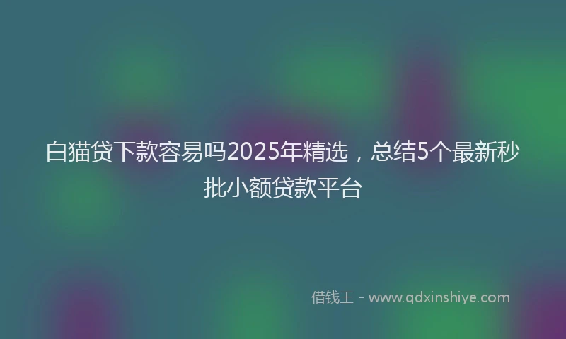 白猫贷下款容易吗2025年精选，总结5个最新秒批小额贷款平台