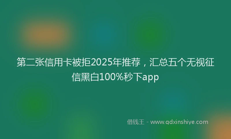 第二张信用卡被拒2025年推荐，汇总五个无视征信黑白100%秒下app