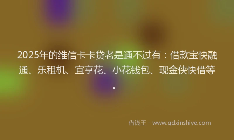 2025年的维信卡卡贷老是通不过有：借款宝快融通、乐租机、宜享花、小花钱包、现金侠快借等。