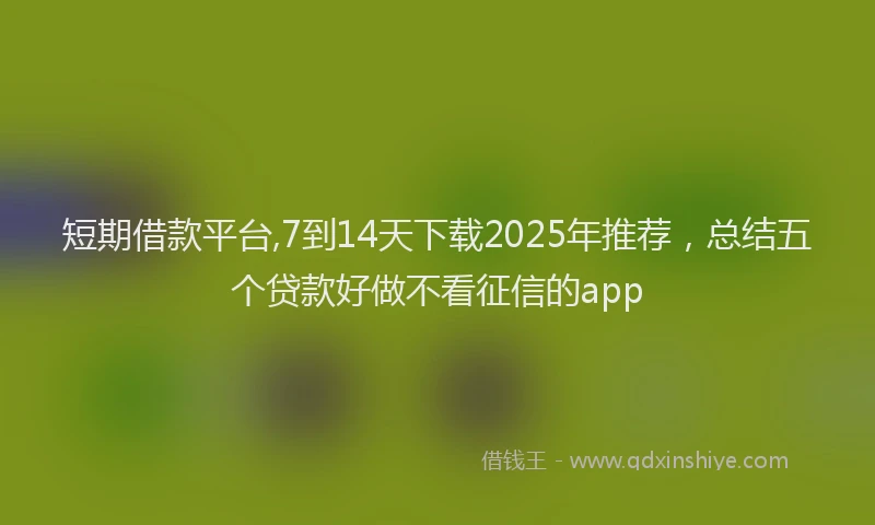 短期借款平台,7到14天下载2025年推荐，总结五个贷款好做不看征信的app