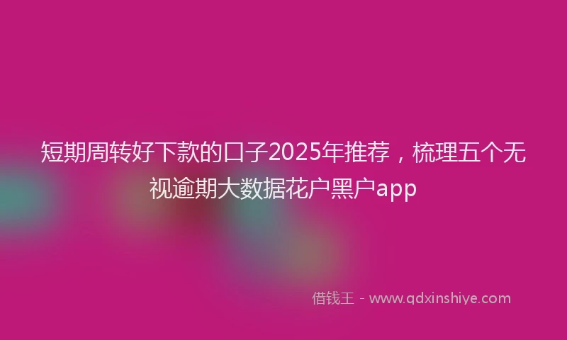 短期周转好下款的口子2025年推荐，梳理五个无视逾期大数据花户黑户app