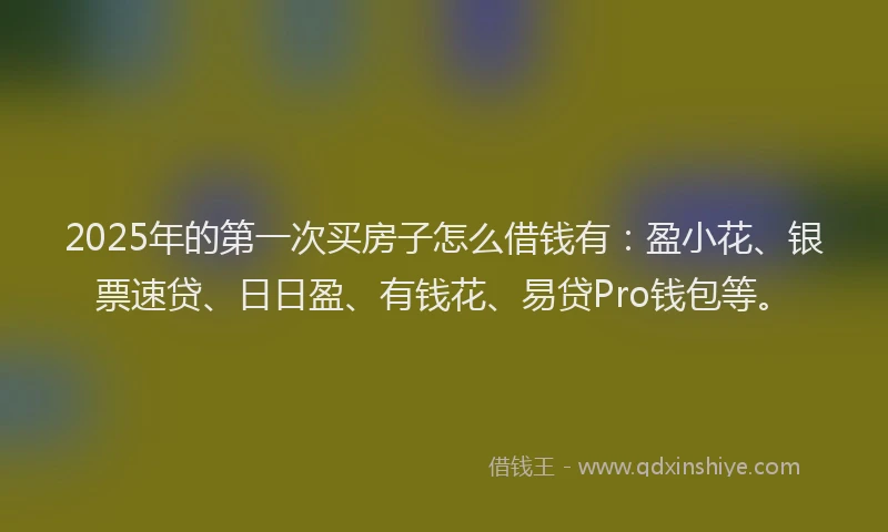 2025年的第一次买房子怎么借钱有：盈小花、银票速贷、日日盈、有钱花、易贷Pro钱包等。