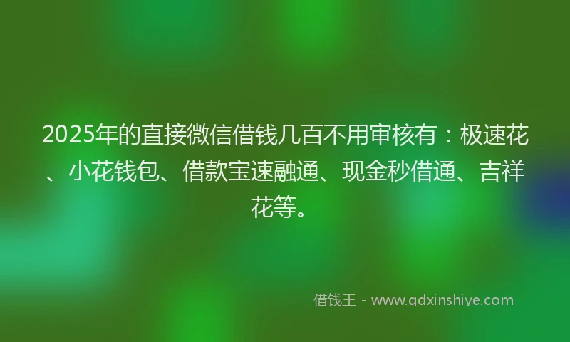 2025年的直接微信借钱几百不用审核有：极速花、小花钱包、借款宝速融通、现金秒借通、吉祥花等。