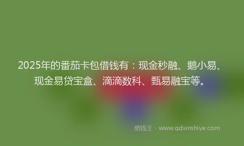 2025年的番茄卡包借钱有：现金秒融、鹅小易、现金易贷宝盒、滴滴数科、甄易融宝等。