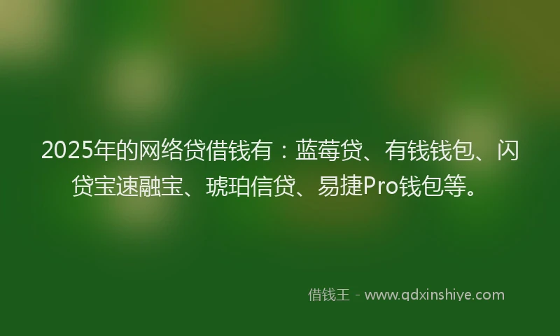 2025年的网络贷借钱有：蓝莓贷、有钱钱包、闪贷宝速融宝、琥珀信贷、易捷Pro钱包等。