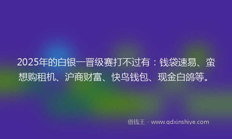 2025年的白银一晋级赛打不过有：钱袋速易、蛮想购租机、沪商财富、快鸟钱包、现金白鸽等。