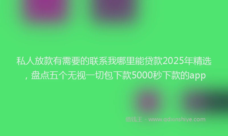 私人放款有需要的联系我哪里能贷款2025年精选，盘点五个无视一切包下款5000秒下款的app