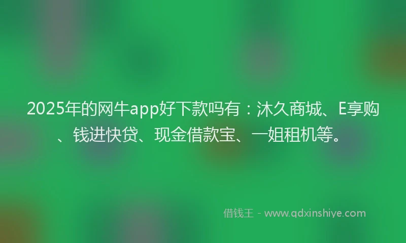 2025年的网牛app好下款吗有：沐久商城、E享购、钱进快贷、现金借款宝、一姐租机等。