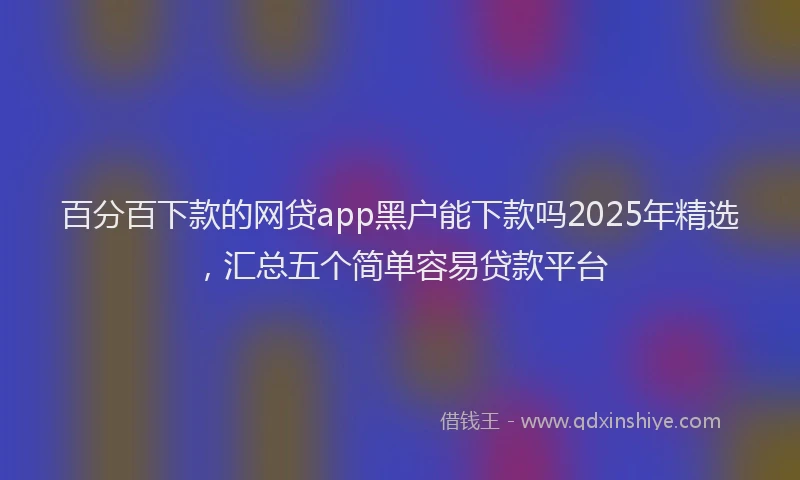 百分百下款的网贷app黑户能下款吗2025年精选，汇总五个简单容易贷款平台