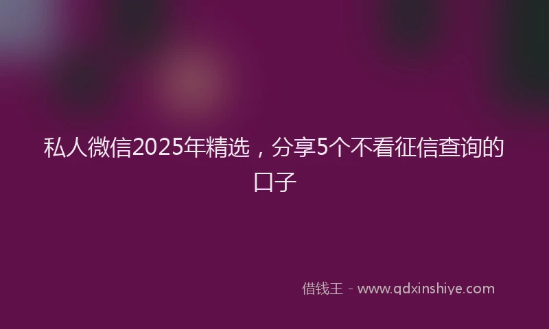 私人微信2025年精选，分享5个不看征信查询的口子