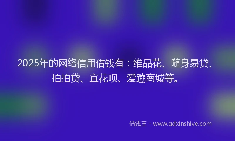 2025年的网络信用借钱有：维品花、随身易贷、拍拍贷、宜花呗、爱蹦商城等。