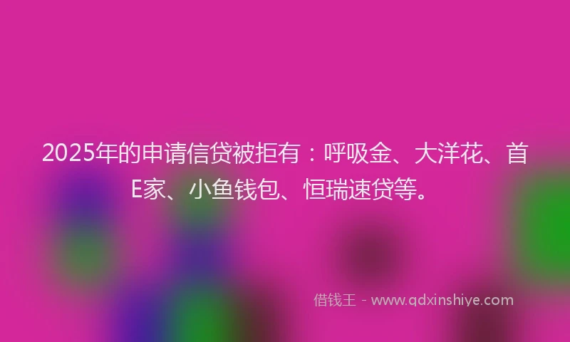 2025年的申请信贷被拒有：呼吸金、大洋花、首E家、小鱼钱包、恒瑞速贷等。