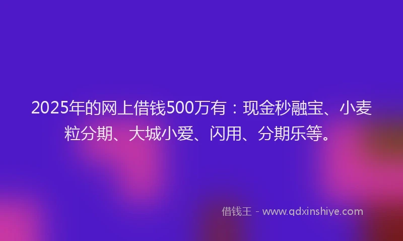 2025年的网上借钱500万有：现金秒融宝、小麦粒分期、大城小爱、闪用、分期乐等。