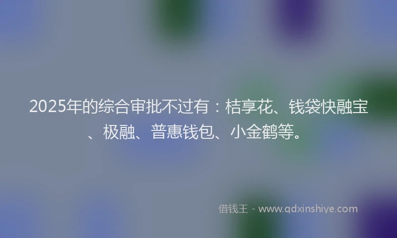 2025年的综合审批不过有：桔享花、钱袋快融宝、极融、普惠钱包、小金鹤等。