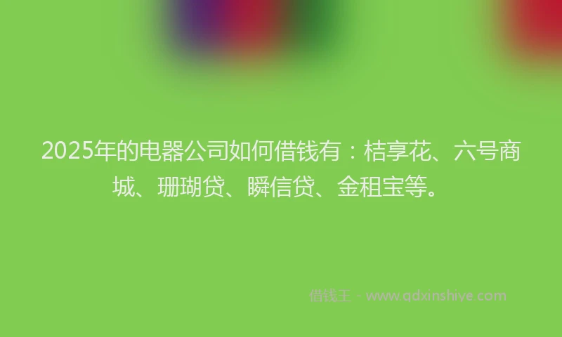 2025年的电器公司如何借钱有：桔享花、六号商城、珊瑚贷、瞬信贷、金租宝等。