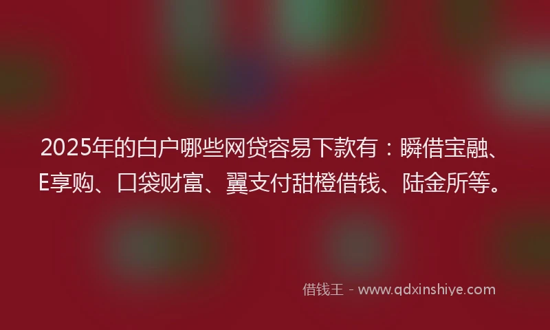 2025年的白户哪些网贷容易下款有：瞬借宝融、E享购、口袋财富、翼支付甜橙借钱、陆金所等。