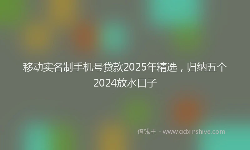 移动实名制手机号贷款2025年精选，归纳五个2024放水口子