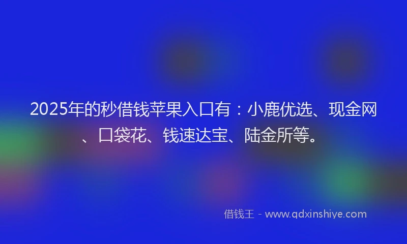 2025年的秒借钱苹果入口有：小鹿优选、现金网、口袋花、钱速达宝、陆金所等。