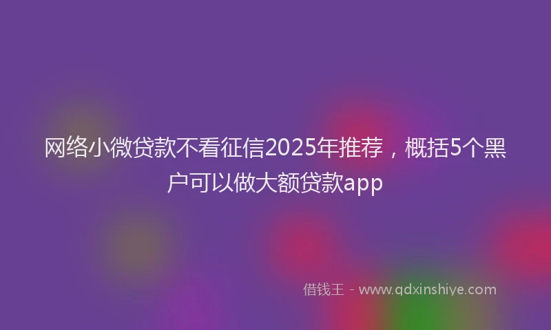 网络小微贷款不看征信2025年推荐，概括5个黑户可以做大额贷款app