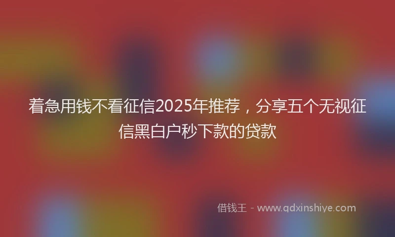 着急用钱不看征信2025年推荐，分享五个无视征信黑白户秒下款的贷款